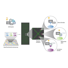 diagram of high throughput screening technology