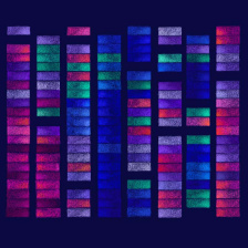 multicolored grid of rectangles illustrating sensitivity of cancer cell lines to drugs