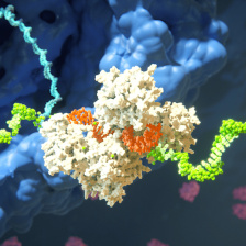 3D rendering of RNAi binding to mRNA strand