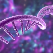 3D rendering of a purple helix of RNA