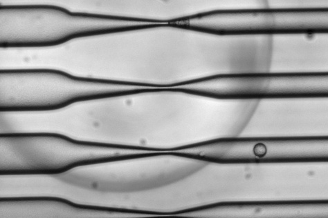 cell passing through a narrowing tube