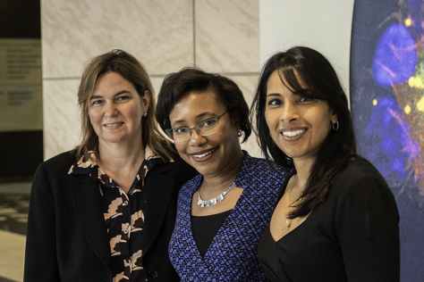 Angela Belcher, Paula Hammond, Sangeeta Bhatia