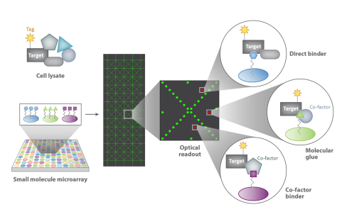 diagram of high throughput screening technology