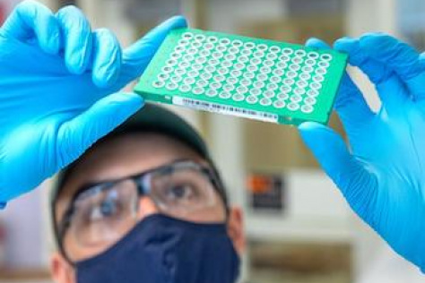 Neil Dalvie looks at samples in an array