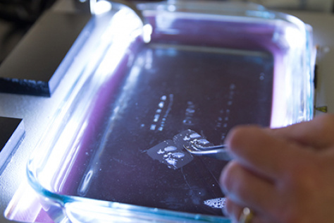 tissue specimen in a tray of liquid