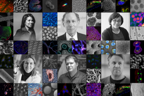 Six professors framed in a mosaic of nanotechnology images