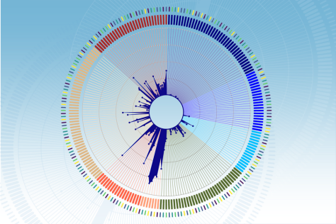 circular graph with radiating multicolor lines of varying length