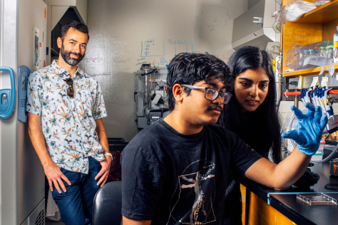 A grad student and a research technician look at a slide at a lab bench while Alex Shalek looks on