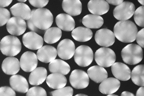 Shimmering pill-like hydrogel particles