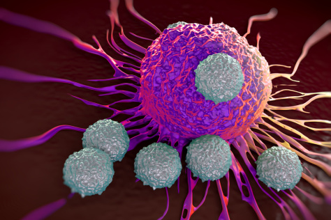 T cells attacking a cancer cell