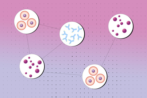 A Markov Field diagram showing connections between cells, cytokines, and antibodies.