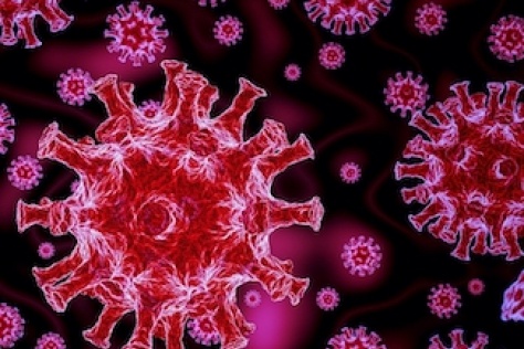 Covid virus