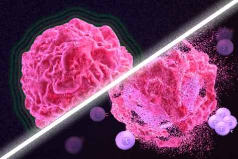 illustration: comparison between two cells, one with immune cells surrounding it